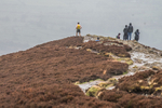 Coledale-57
