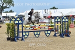 BPP_0530