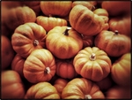 Pumpkins at a market in Uccle