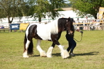 SBM_08812