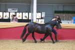 SBM_16594