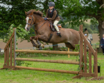 Dunblane show-596