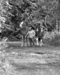 jane horses-4
