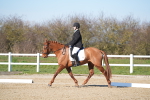 SBM_003346