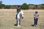WJ6_9077