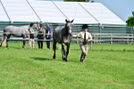 SBM_03304