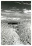 Nairn