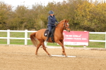 SBM_001826