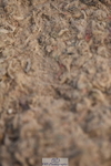 230915A-112302-00295