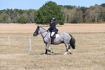 WJ6_8816