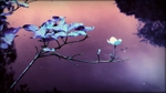 MU_015