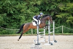 Cls 137 British Novice and 90cm Open portfolio