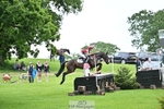 253-ISINGTON_IRISH_SPIRIT-Henrietta_Ewell portfolio