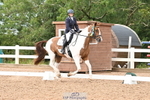 Cls 25-P Freestyle Novice Bronze portfolio