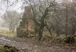 Ruined cottage, The Hollies