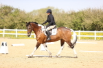 SBM_007892