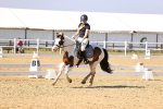 SBM_003049