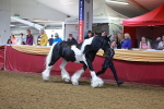 SBM_14715