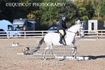 BPP_8423