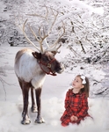 reindeer friend