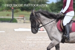 BPP_7305