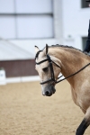 SBM_003914