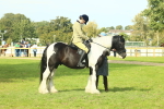 SBM_68963