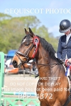 BPP_4372