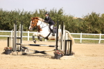 SBM_001979