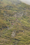 Peris Horseshoe-133