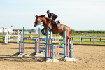 SBM_003279