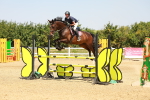 SBM_001706