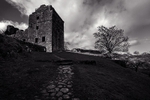 Carnassarie Castle 0848 B&W