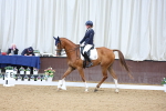 SBM_018776