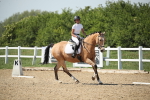 SBM_009980