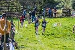 The Finish-904