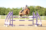 Class 5 - Senior Foxhunter - 1.20m portfolio