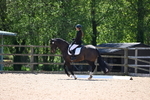 WJ6_0362
