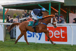 281224-Race 5-Poetry Man-1694