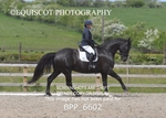 BPP_6602