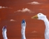 Pop Geese, Brown