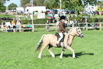 SBM_50330