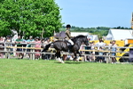 SBM_07893