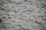 WJ5_6802