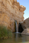 Tamerza waterfall and oasis
