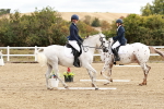 SBM_010094