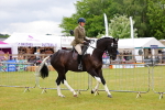 SBM_02493