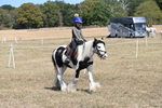 Championship Classes 33-38 portfolio