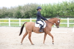 SBM_006582