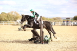 SBM_002498